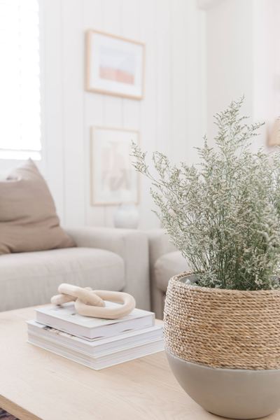 Living room detail with an olive tree in a woven basket planter, stacked art books and a ceramic object on a low table